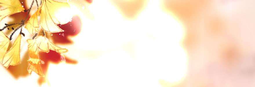 68.jpg