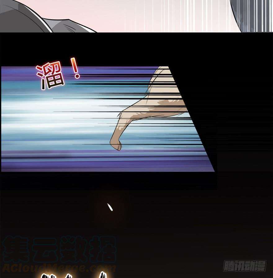 61.jpg