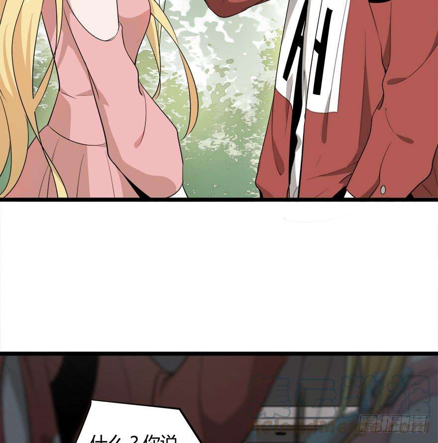 41.jpg