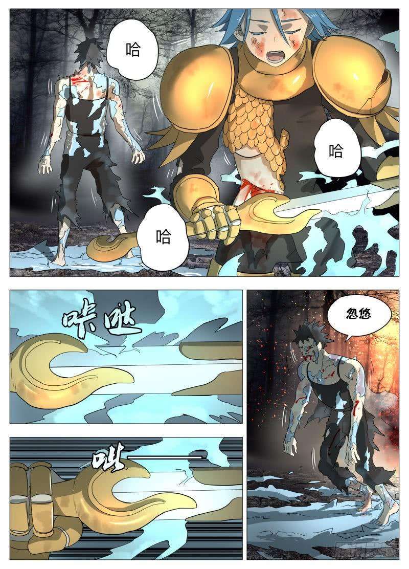 12.jpg
