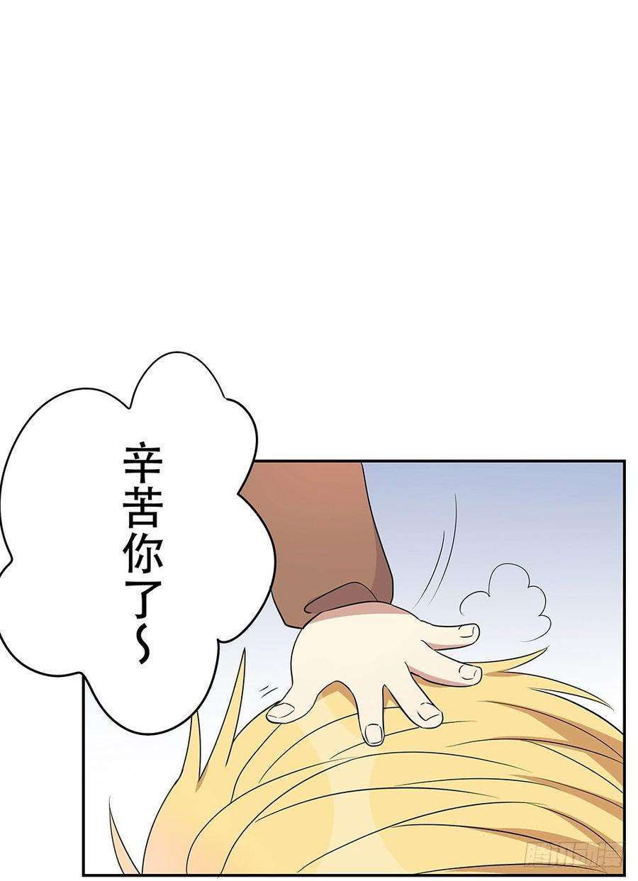 71.jpg