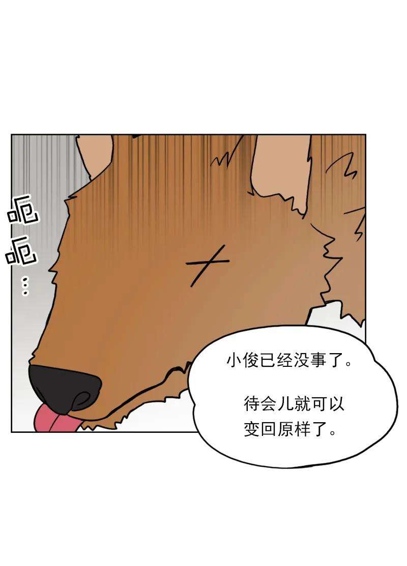 20.jpg