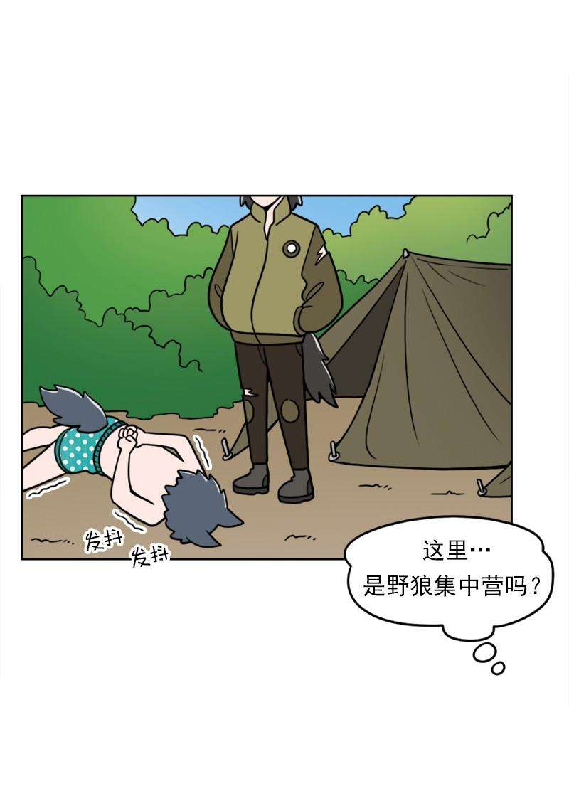 39.jpg