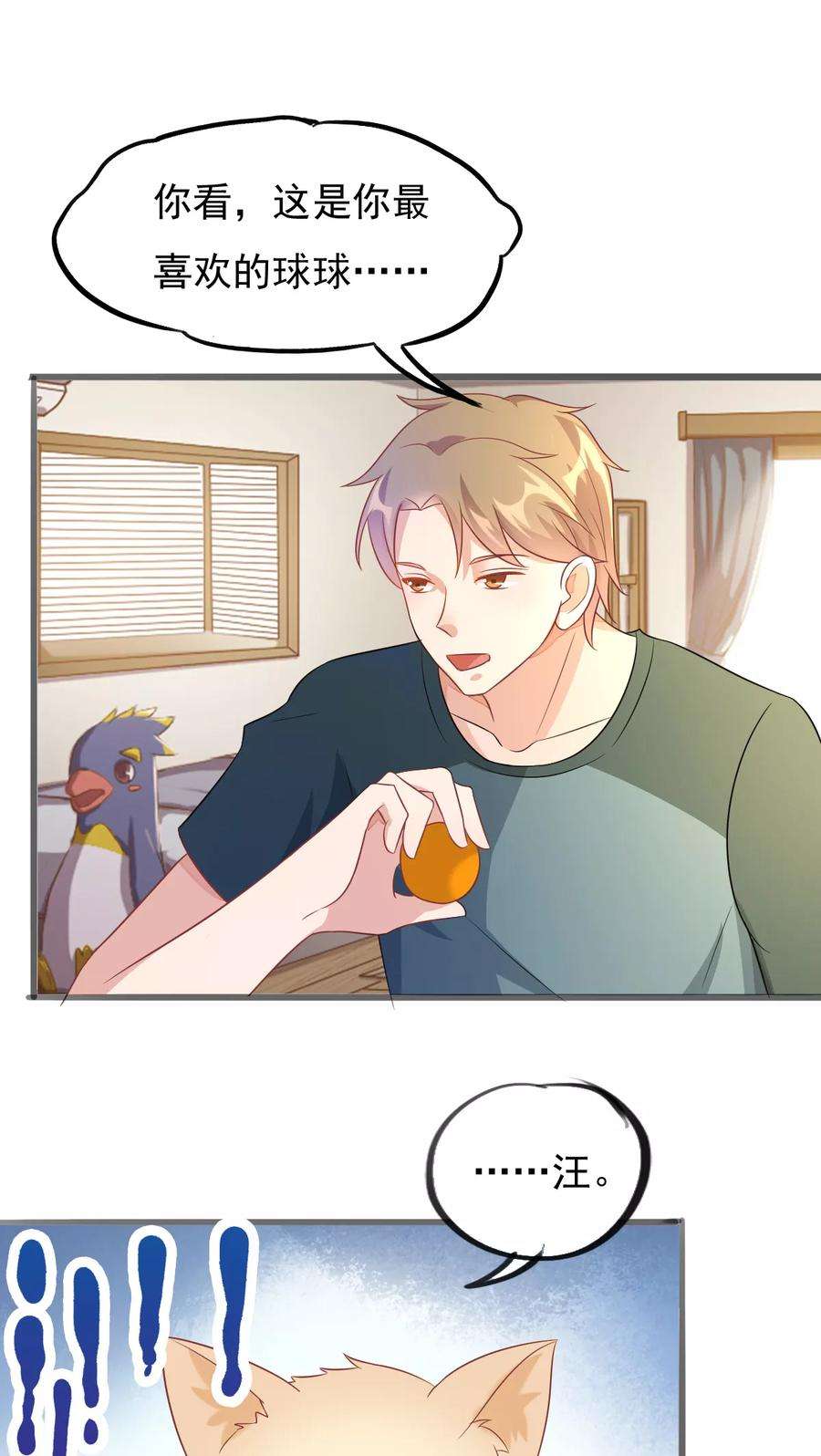 15.jpg