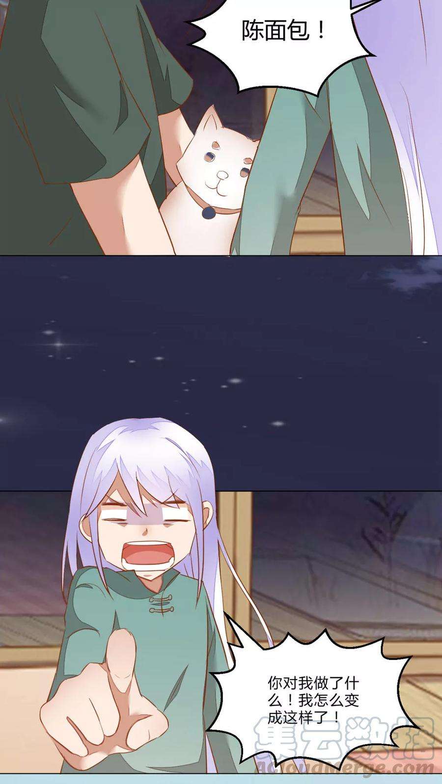 13.jpg