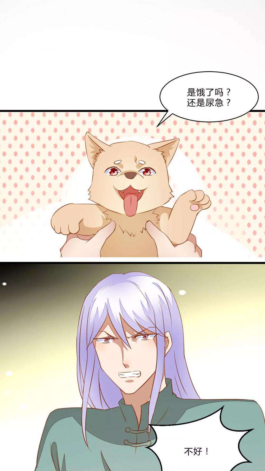 15.jpg