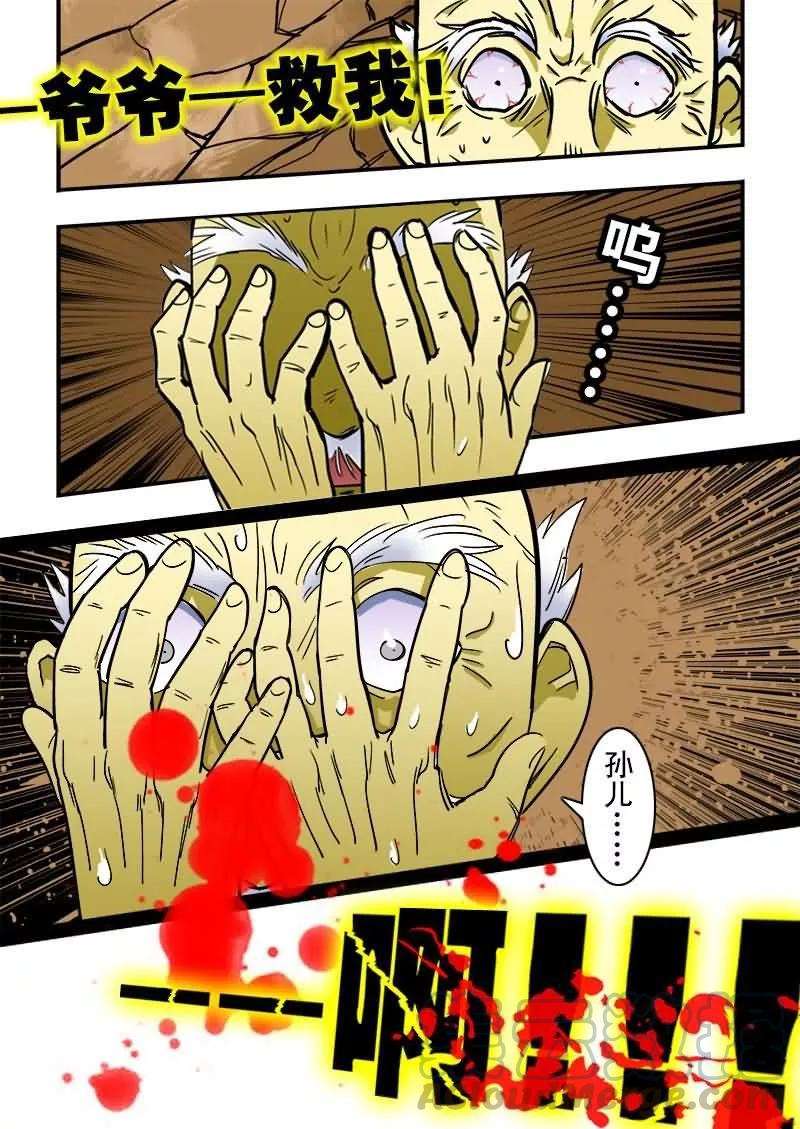 13.jpg