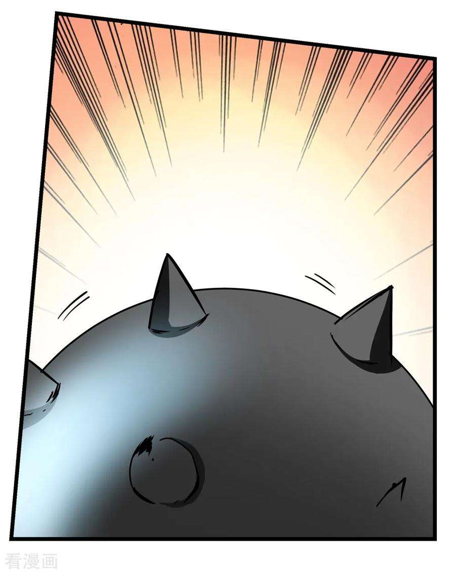19.jpg