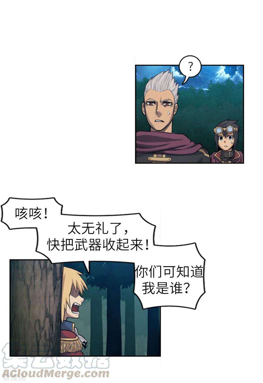 15.jpg