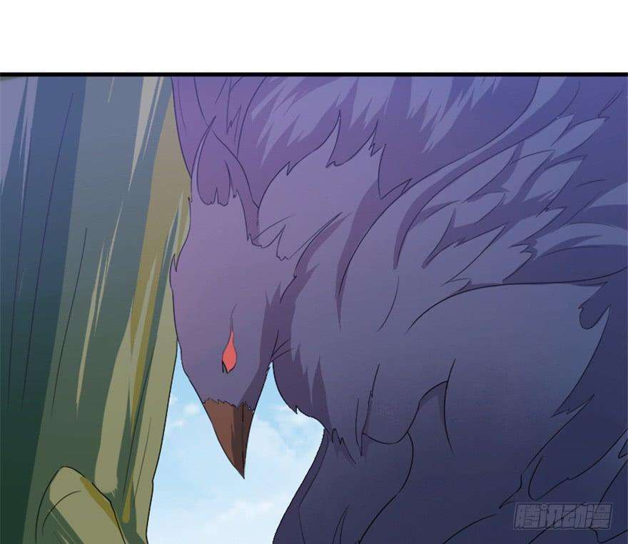 35.jpg