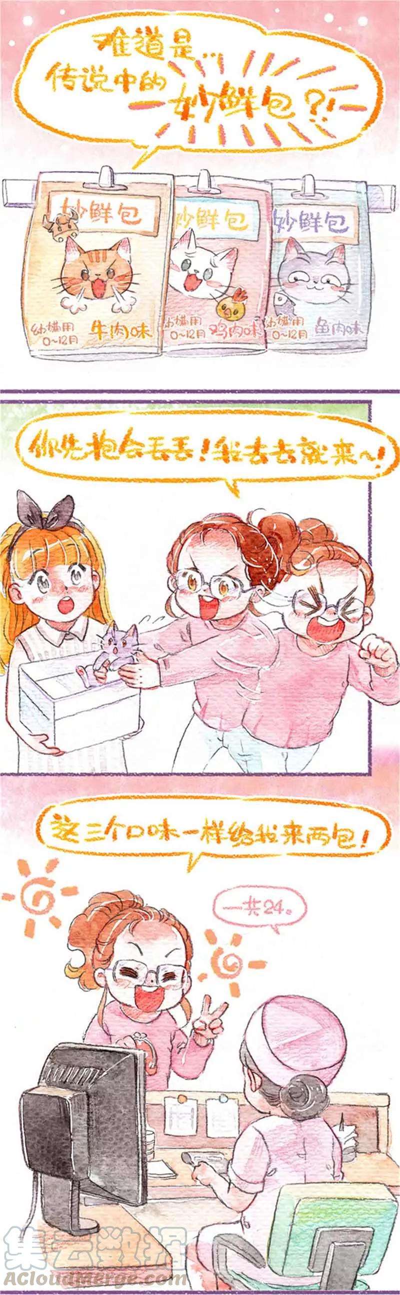 15.jpg