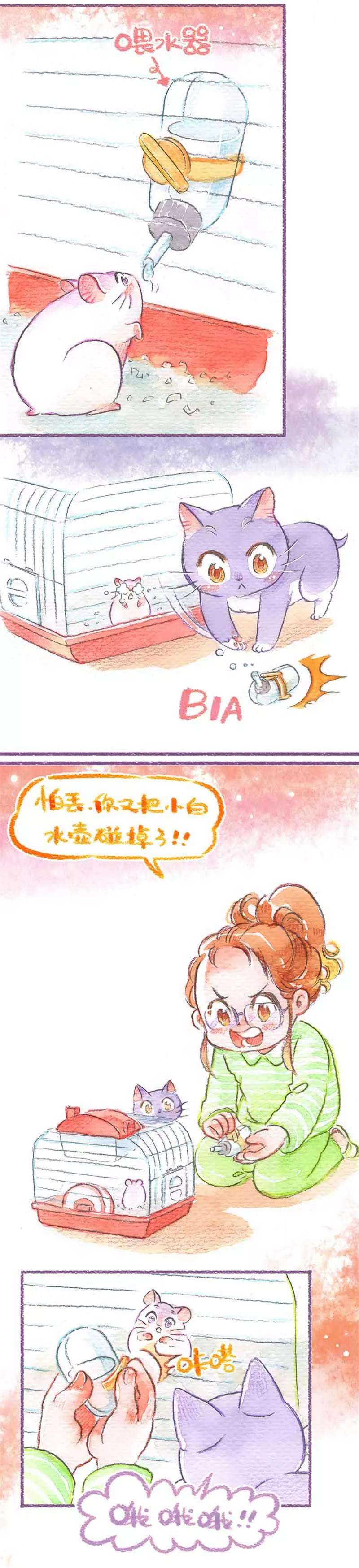 14.jpg