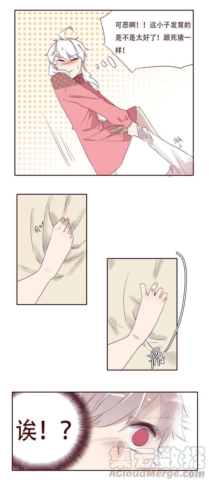 5.jpg