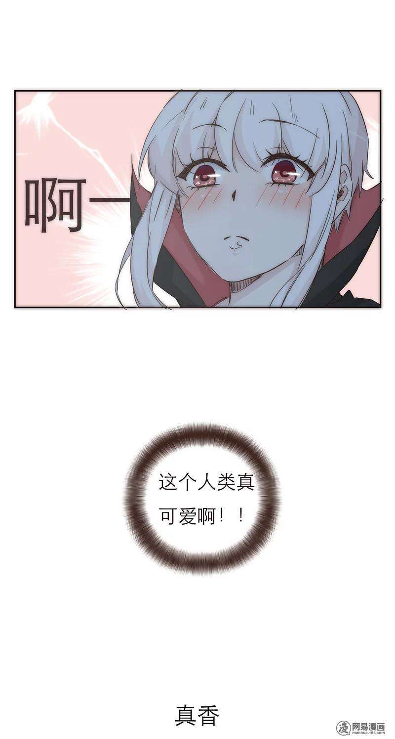 28.jpg