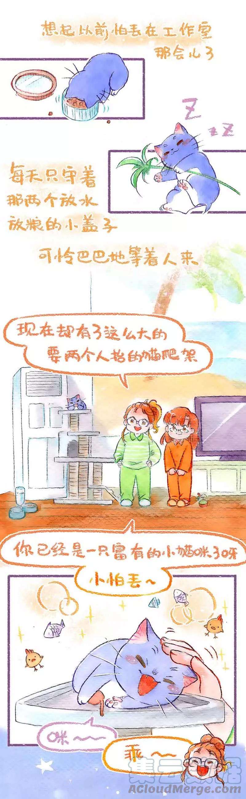 15.jpg