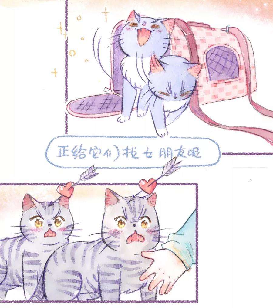 27.jpg