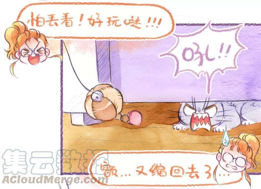 29.jpg