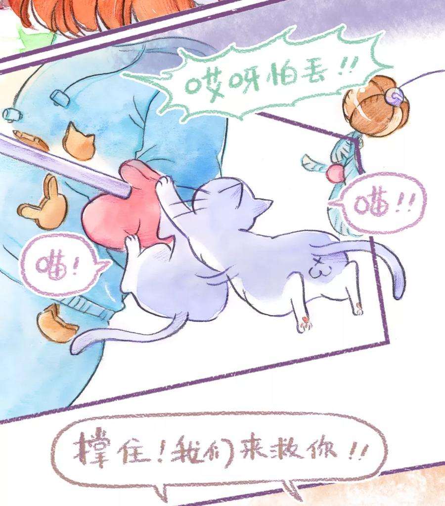 17.jpg