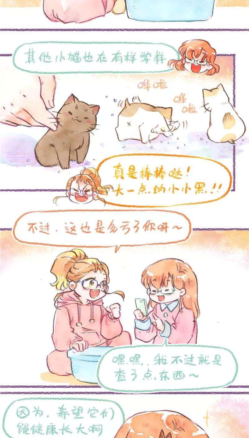 18.jpg
