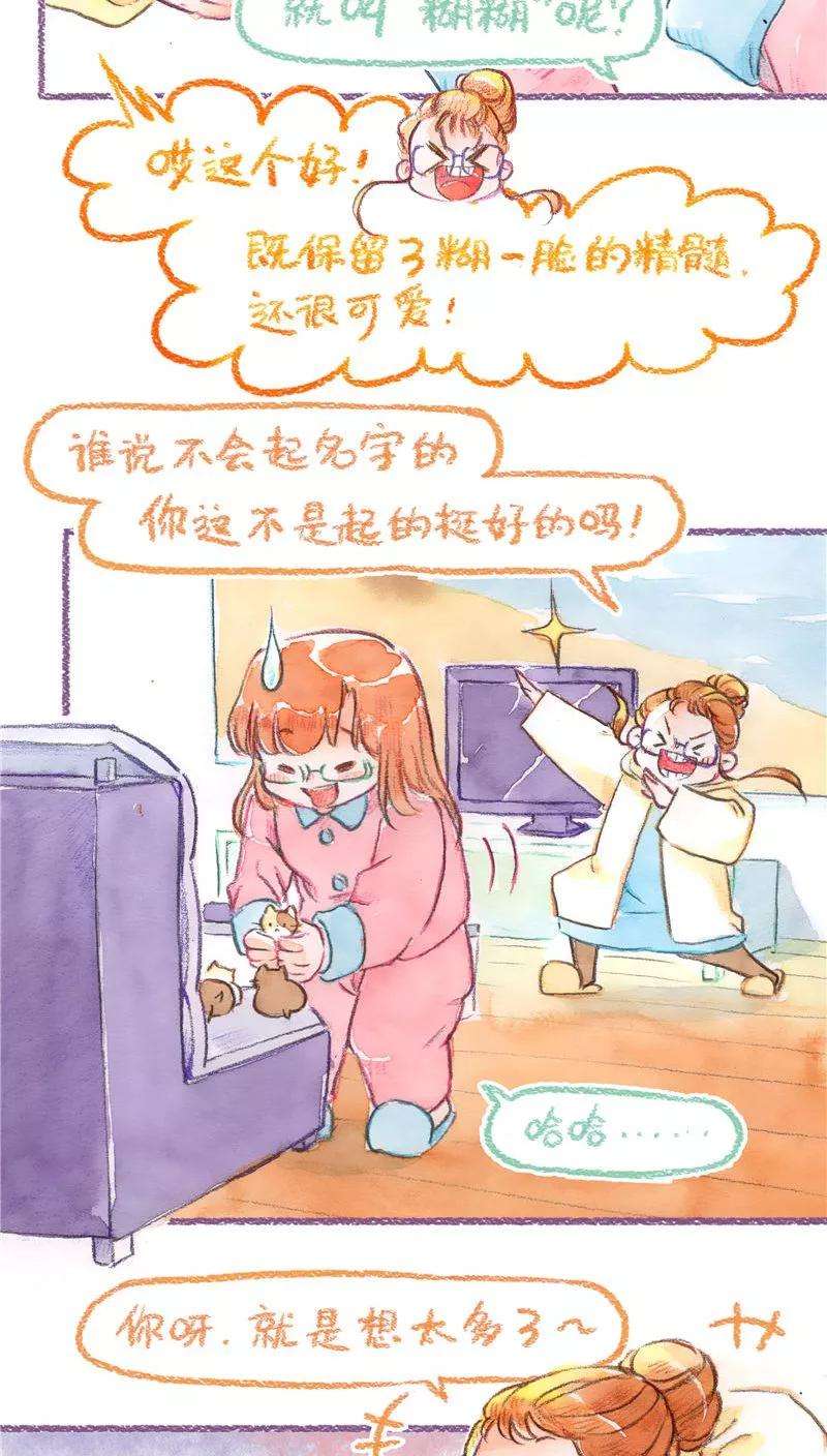 19.jpg