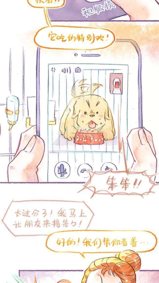 19.jpg