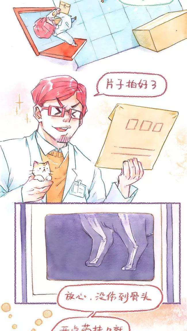 2.jpg