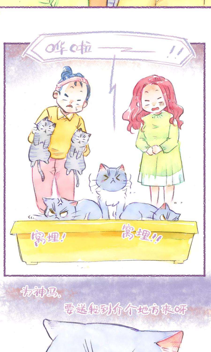 25.jpg