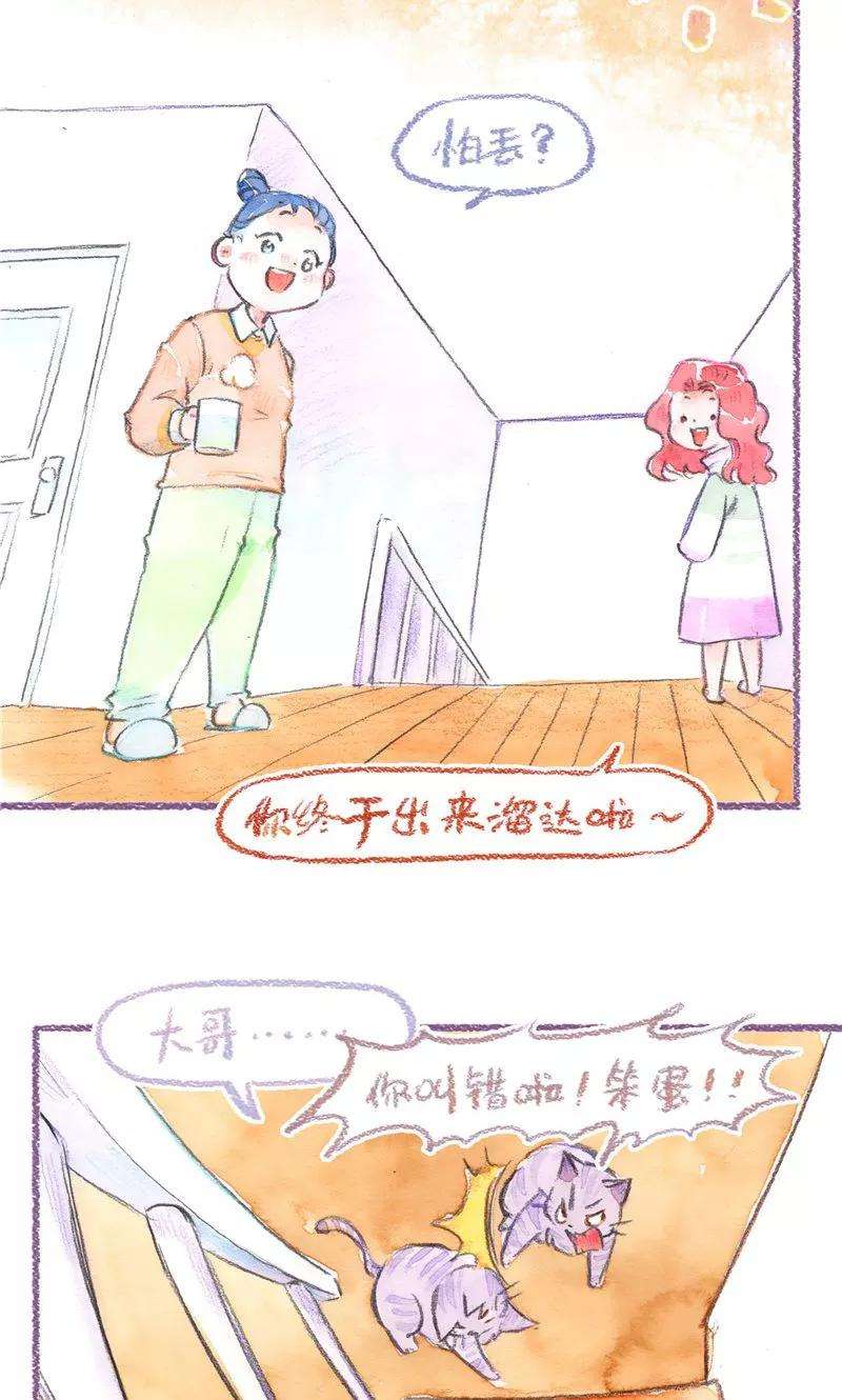 14.jpg