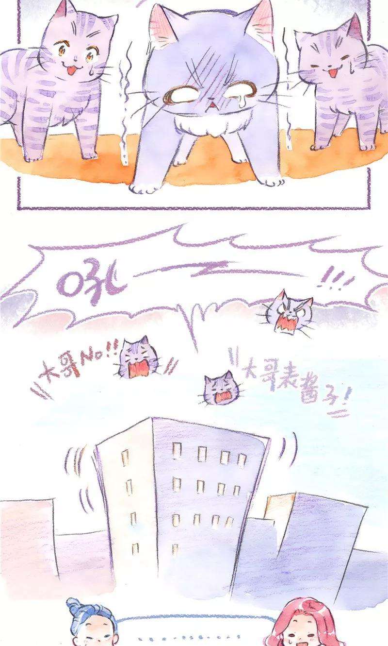 27.jpg