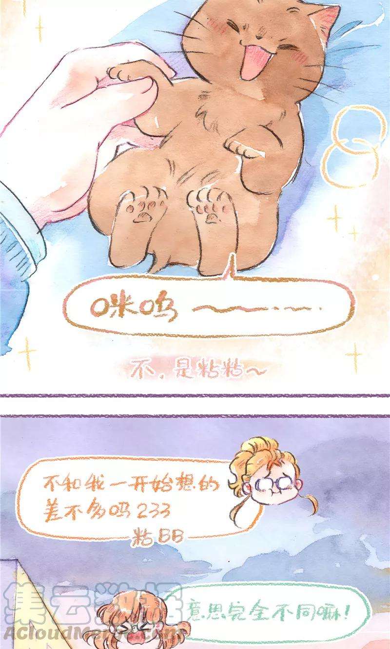 29.jpg