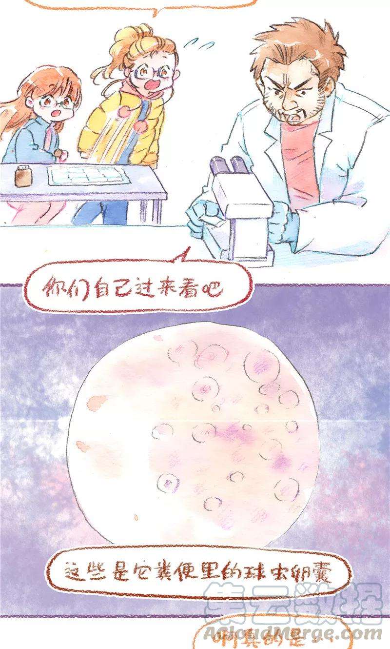 15.jpg