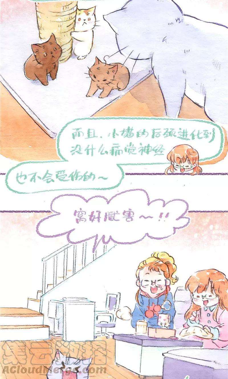 22.jpg