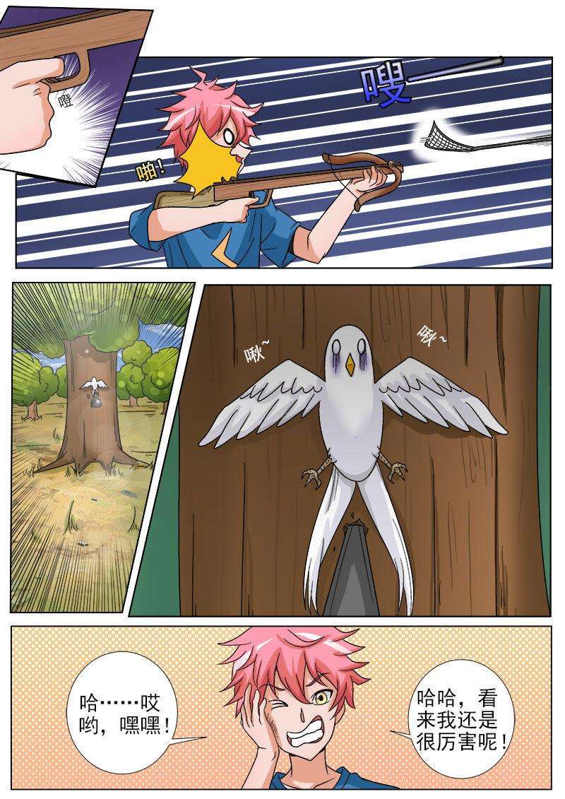 9.jpg