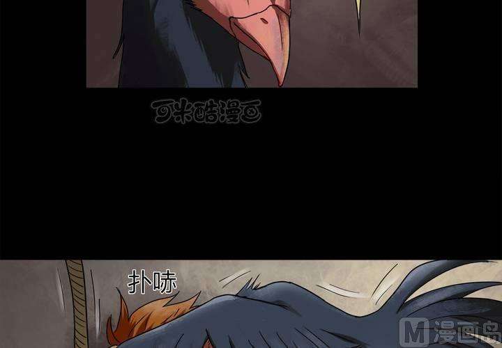 41.jpg