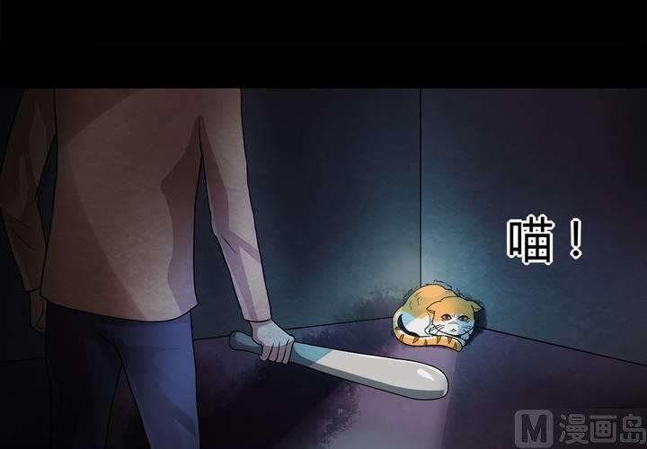 53.jpg