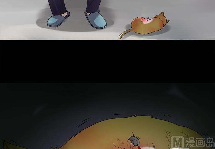 58.jpg