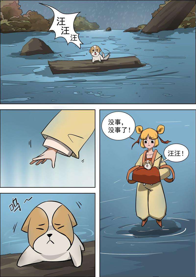 8.jpg