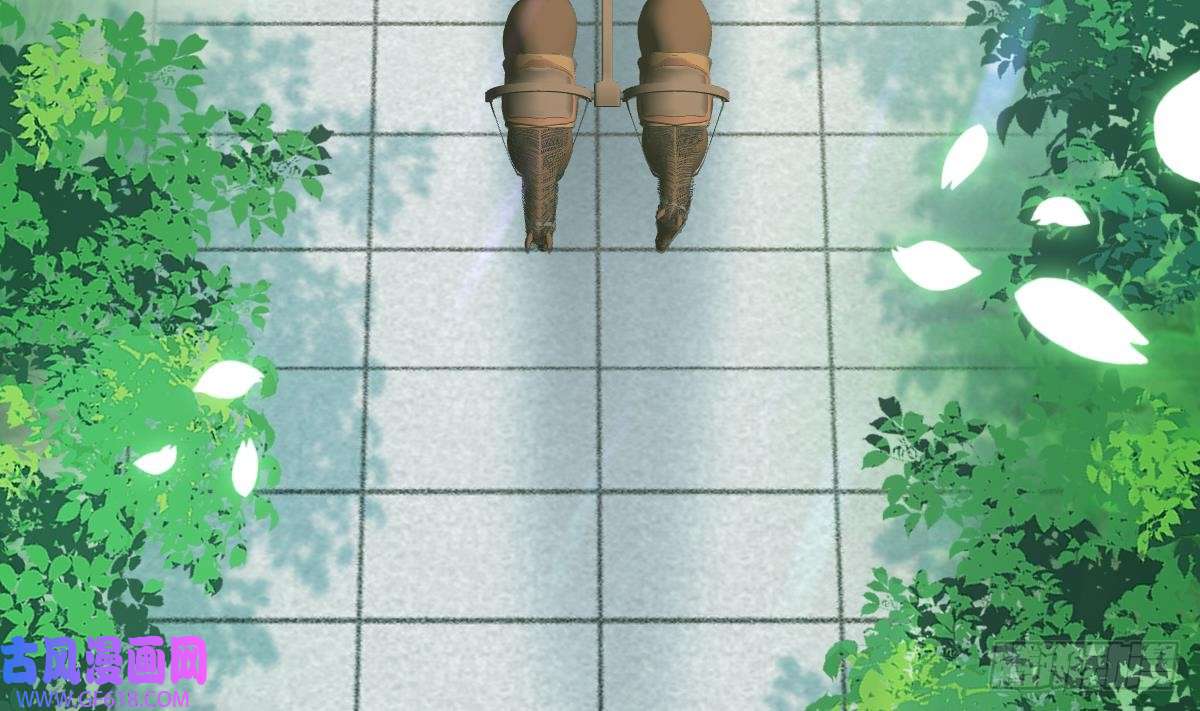 43.jpg