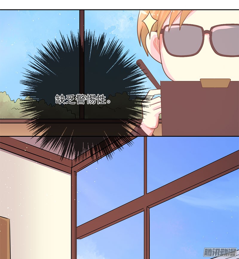 11.jpg