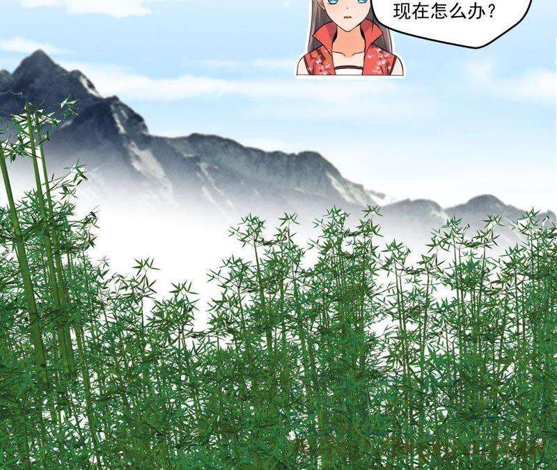 29.jpg