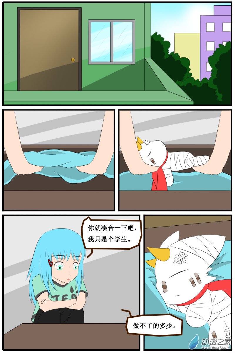 5.jpg