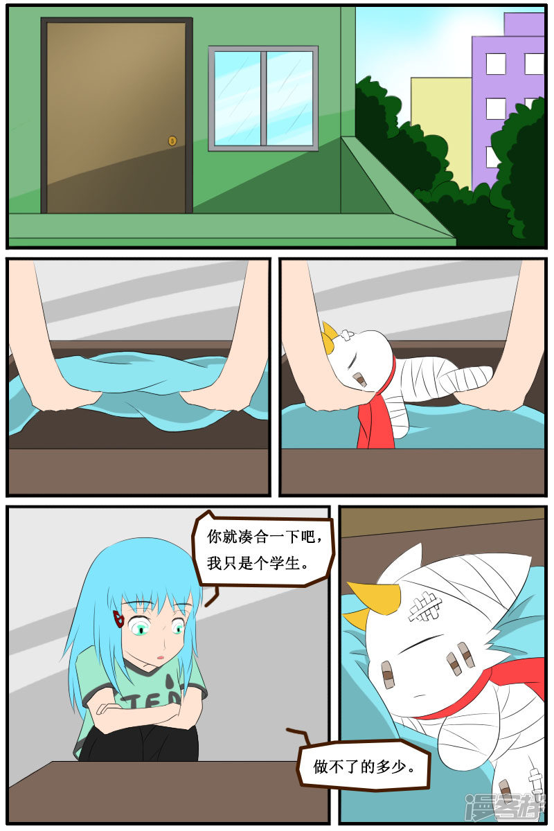 5.jpg