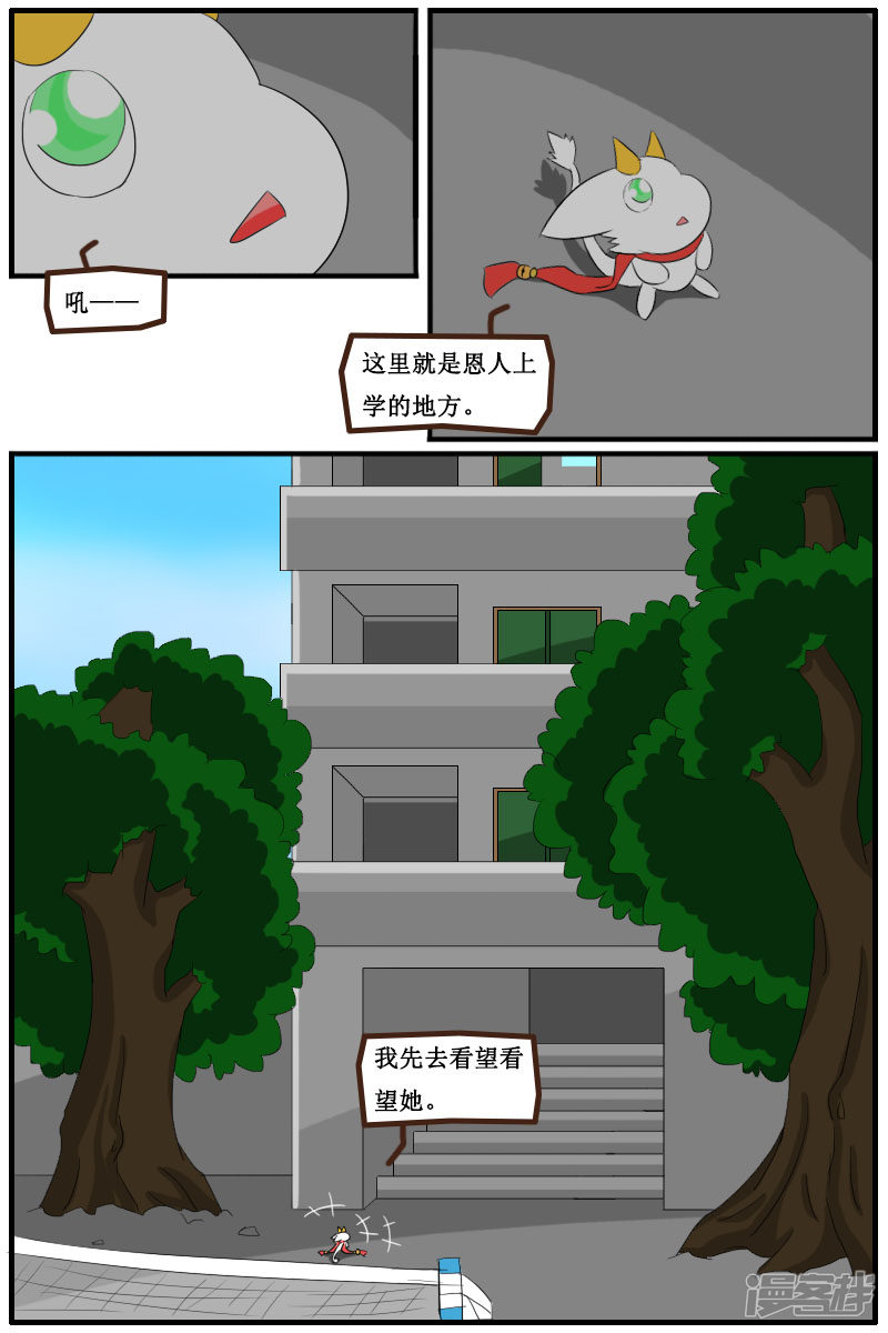 11.jpg