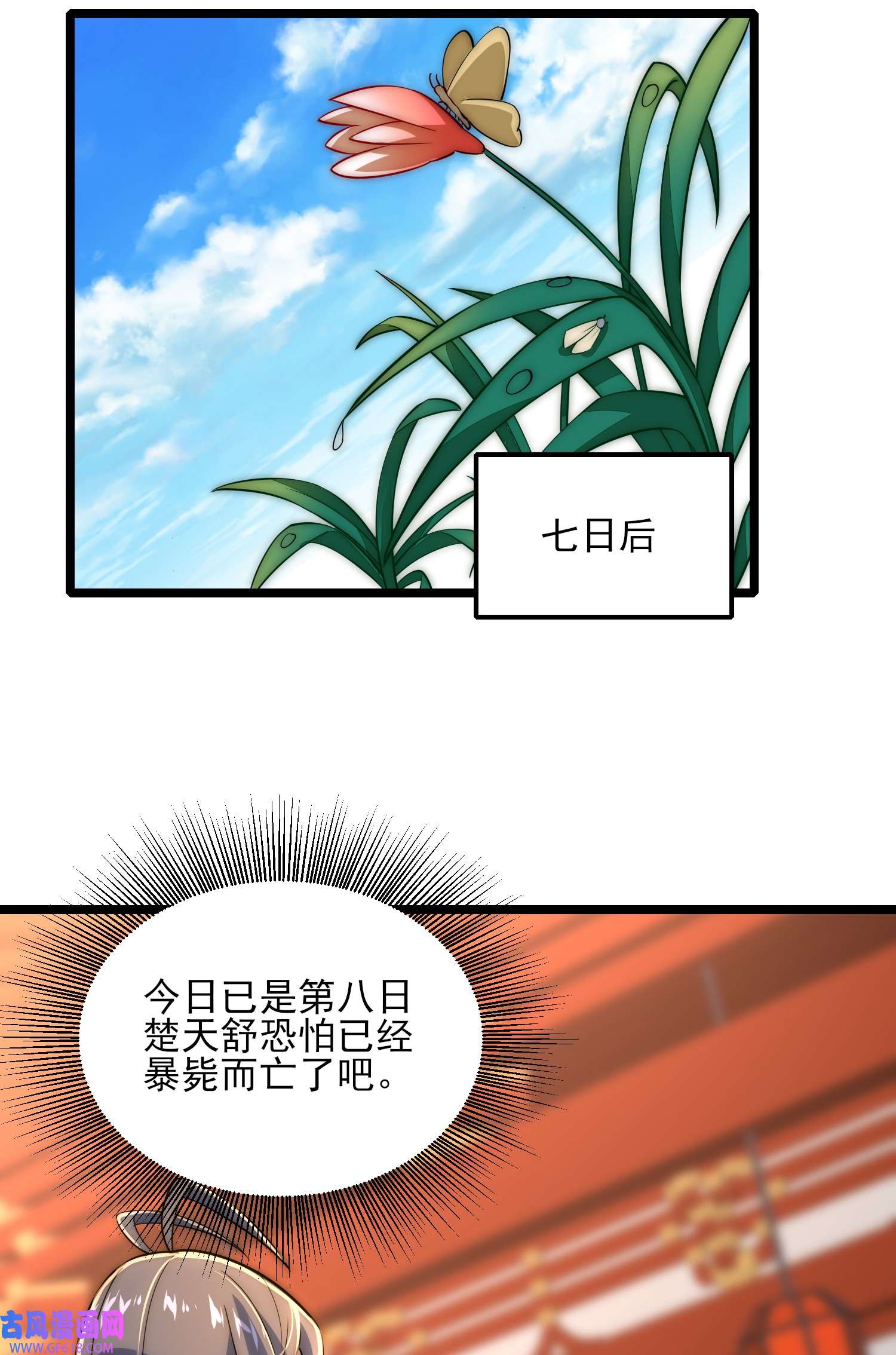 64.jpg