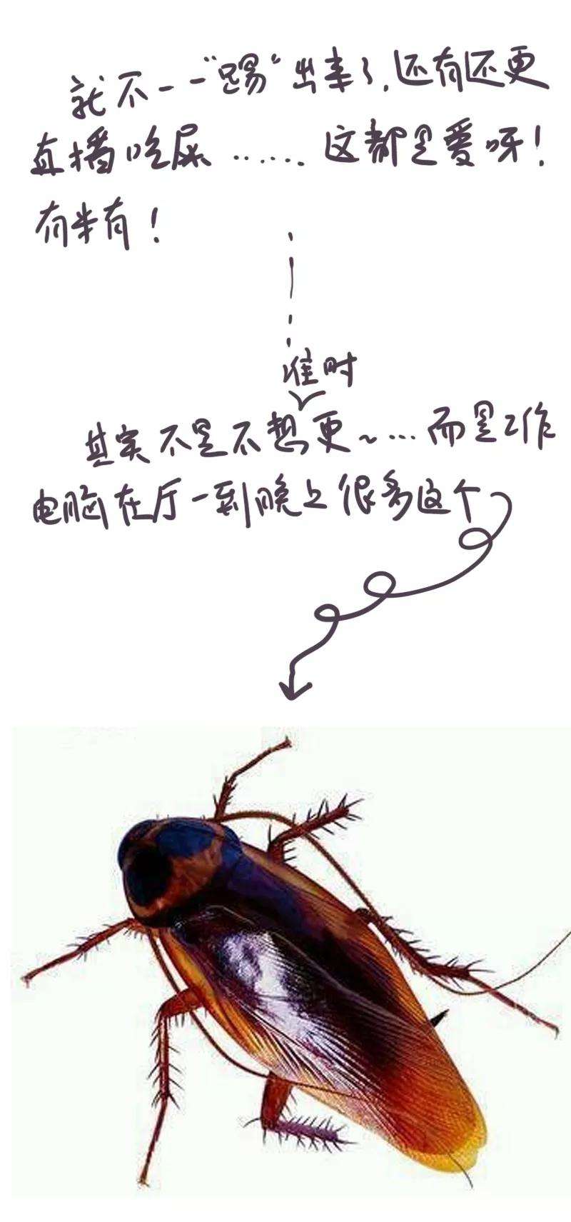 17.jpg