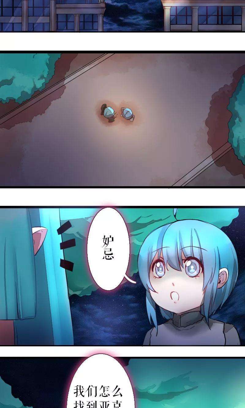 17.jpg