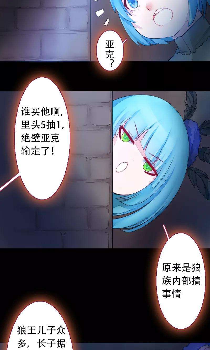 19.jpg