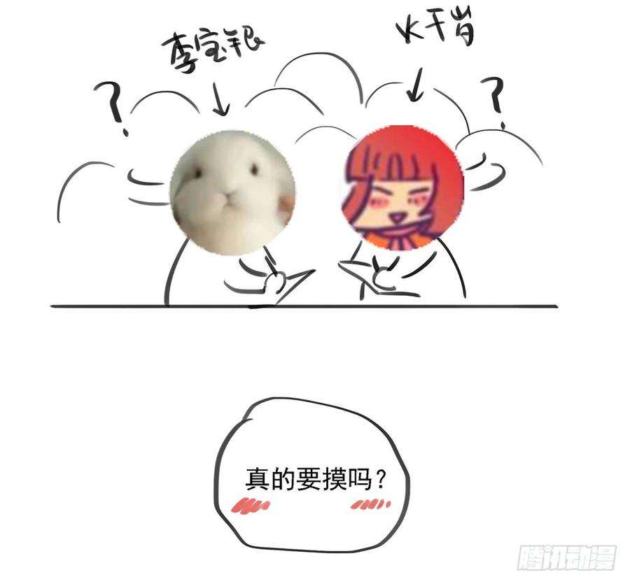 84.jpg