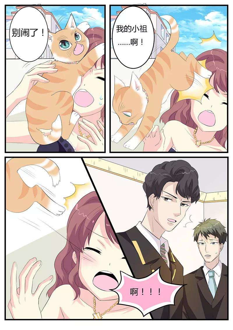 7.jpg