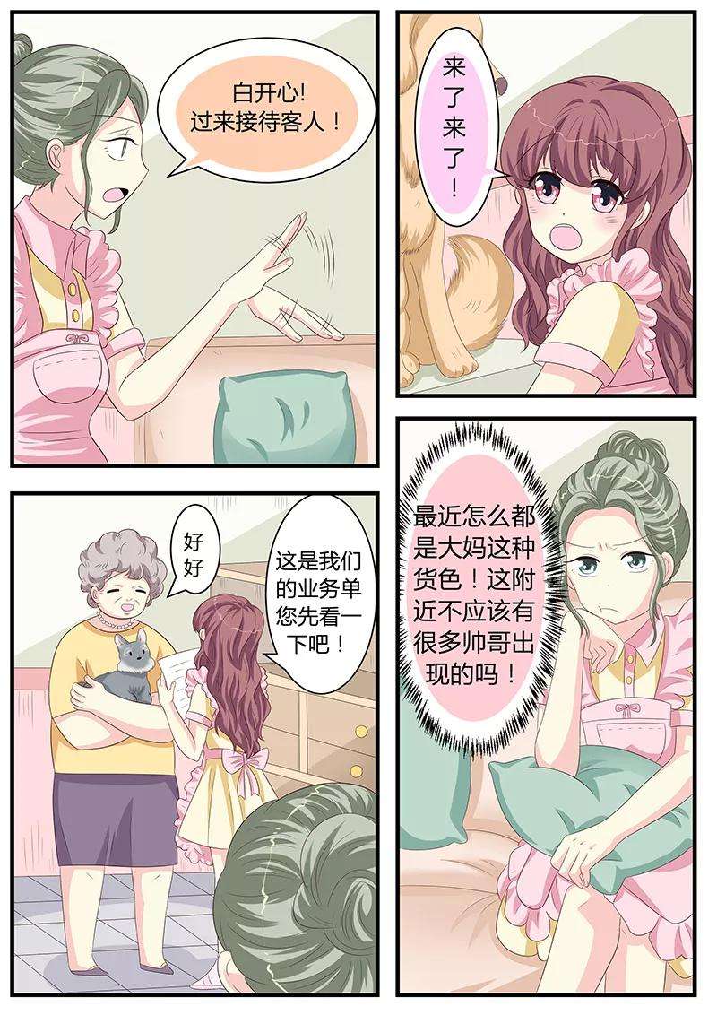 17.jpg